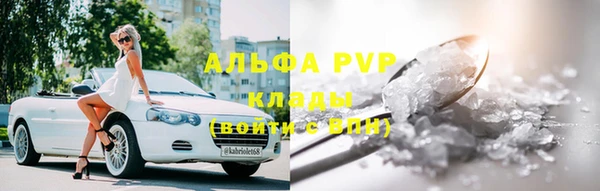 сатива Беломорск