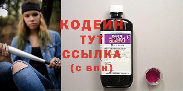 сатива Беломорск