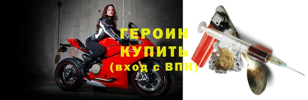 сатива Беломорск