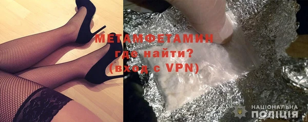 сатива Беломорск