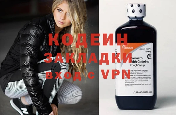 сатива Беломорск