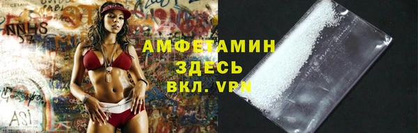 сатива Беломорск